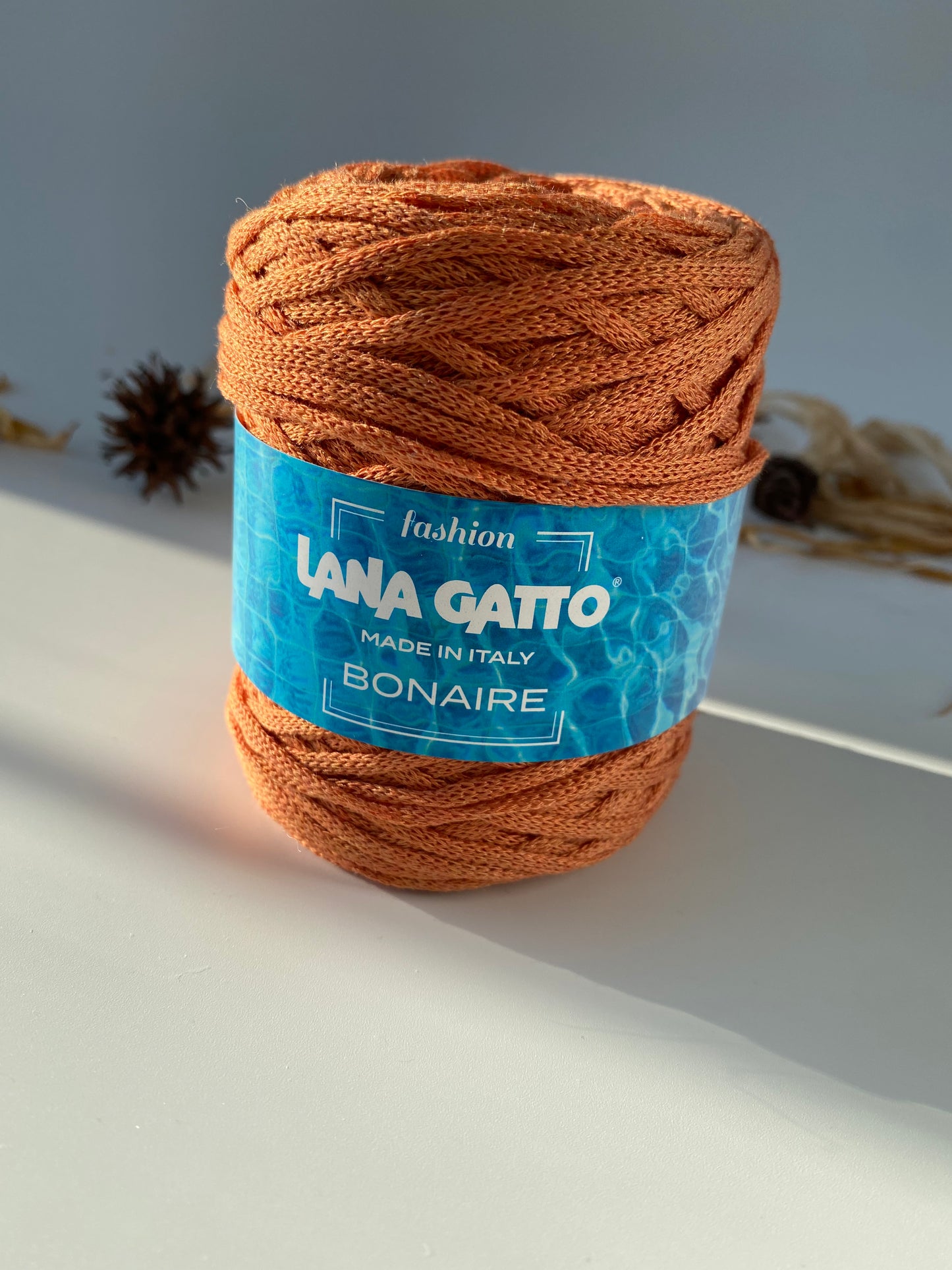 Bonaire Lana Gatto
