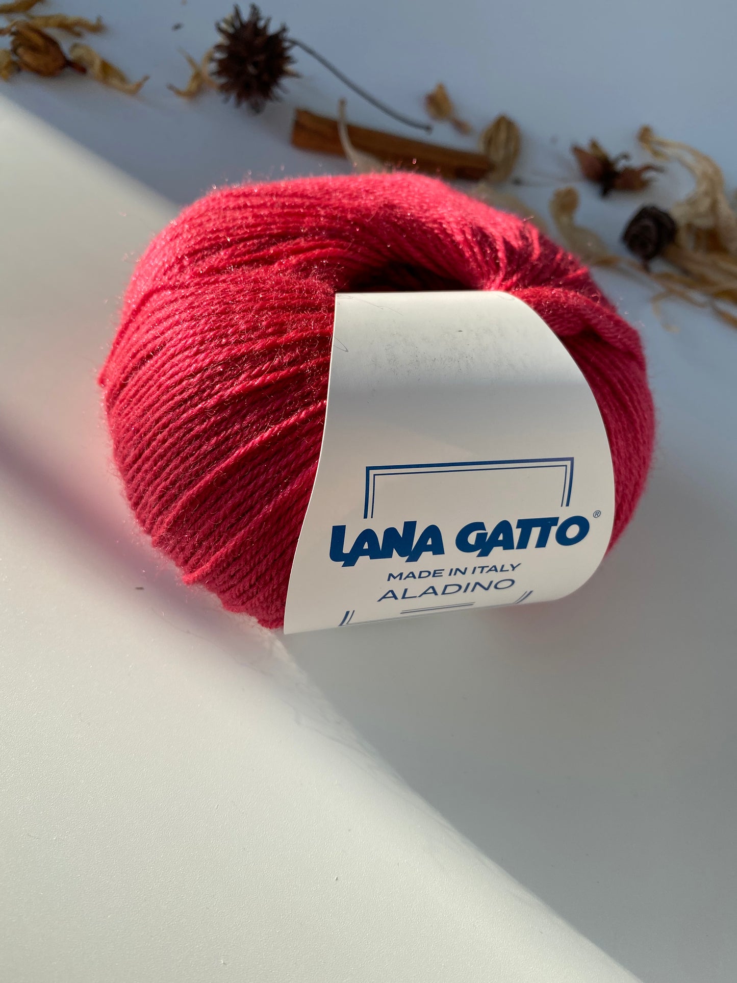 Aladino Lana Gatto