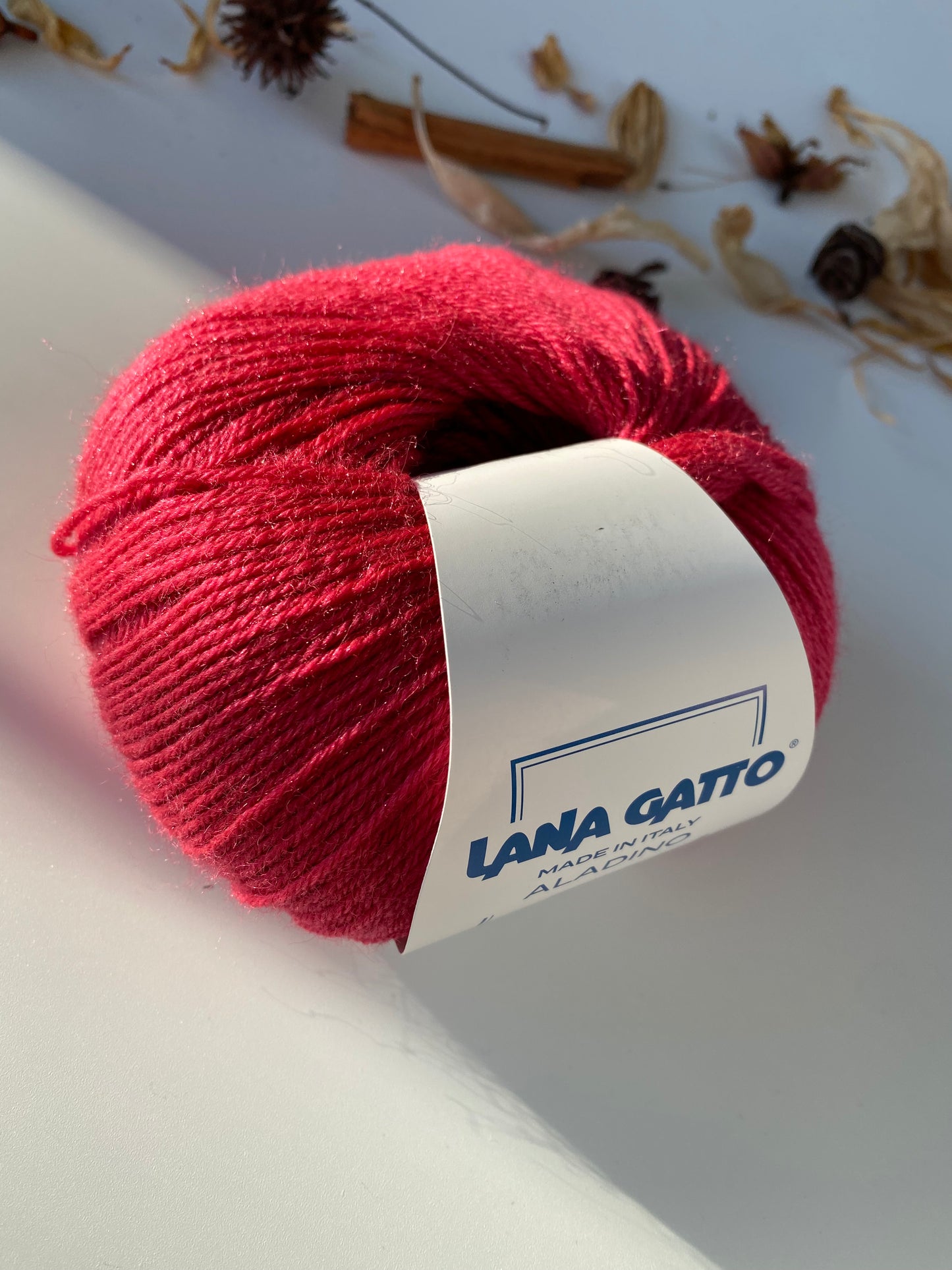 Aladino Lana Gatto