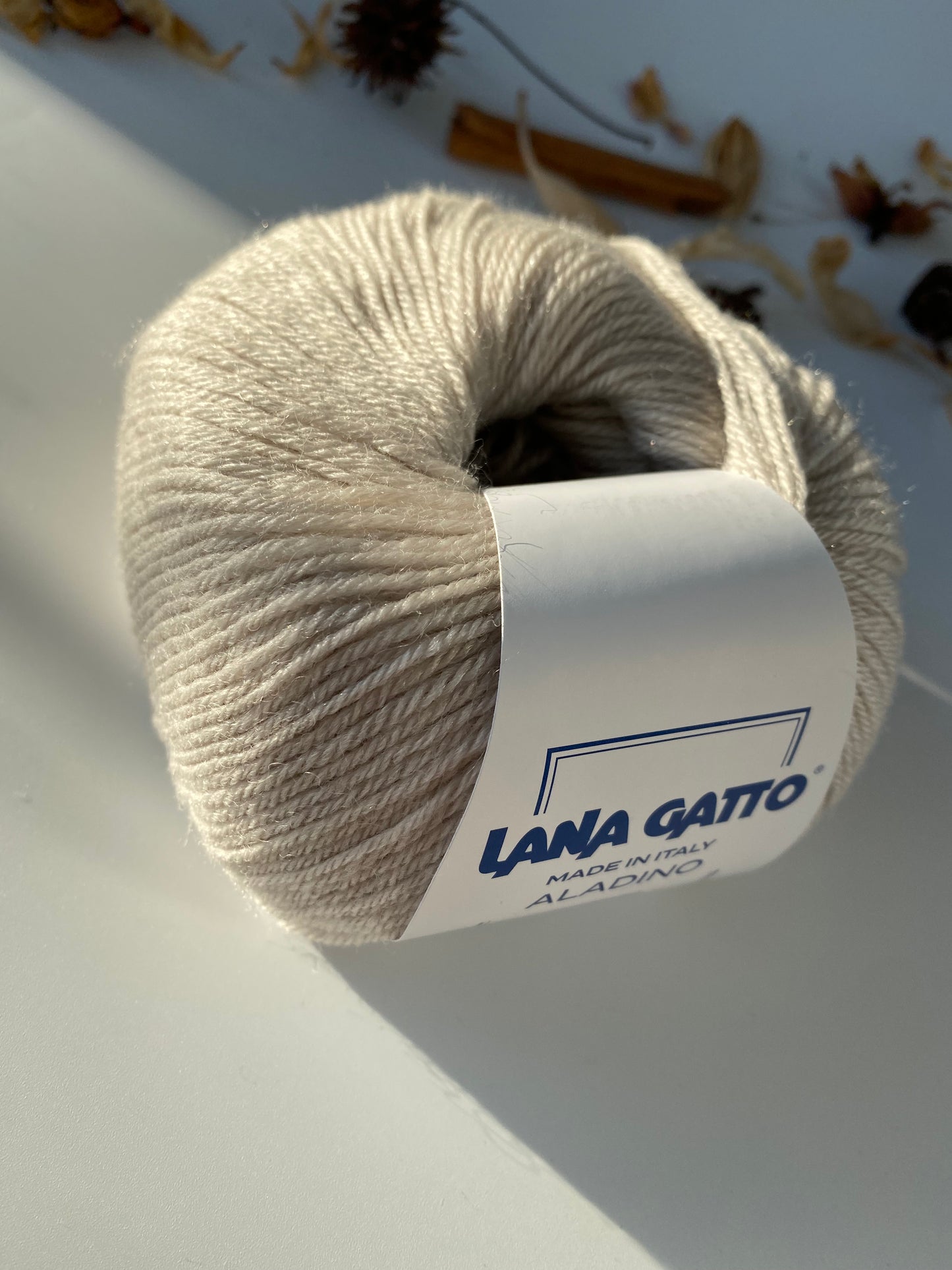 Aladino Lana Gatto