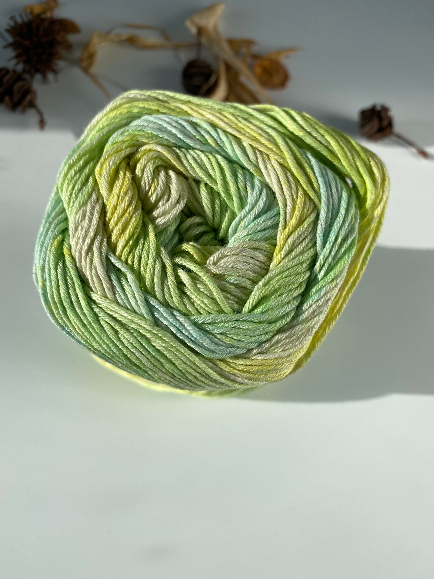 Martinica Lana Gatto