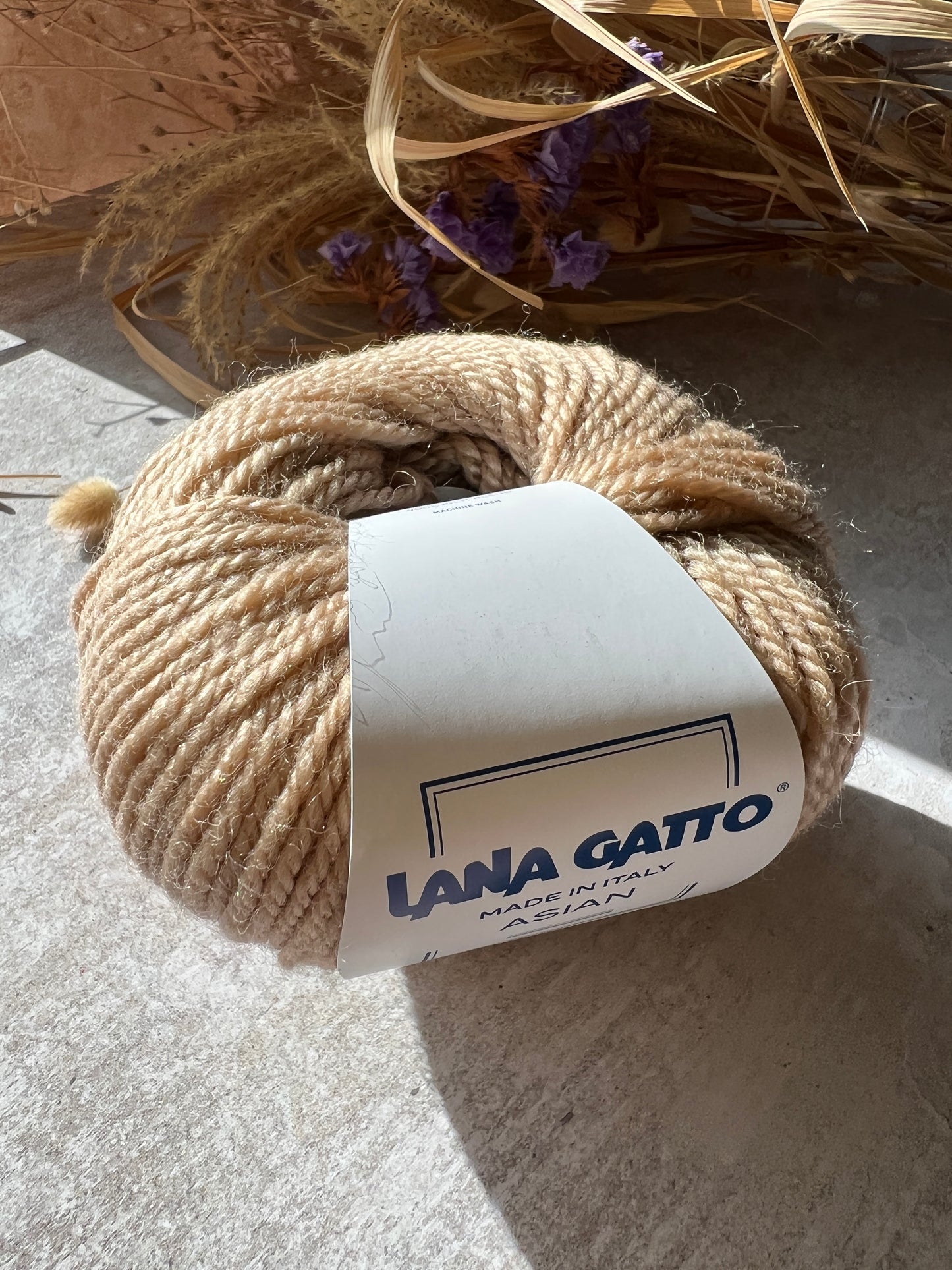 Asian Lana Gatto